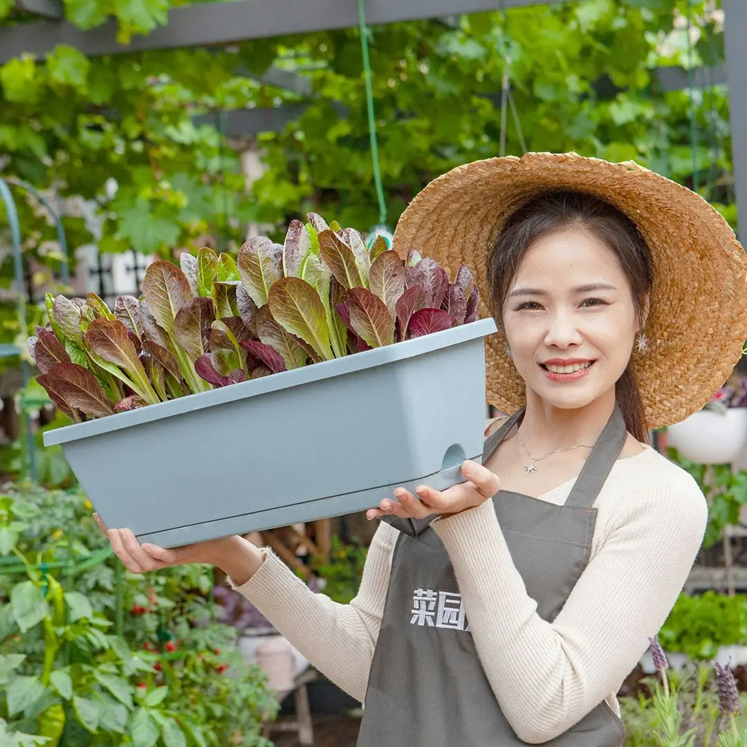 Soga 49.5cm Blue Rectangular Planter Vegetable Herb Flower Outdoor Plastic Box with Holder Balcony Garden Decor Set of 5