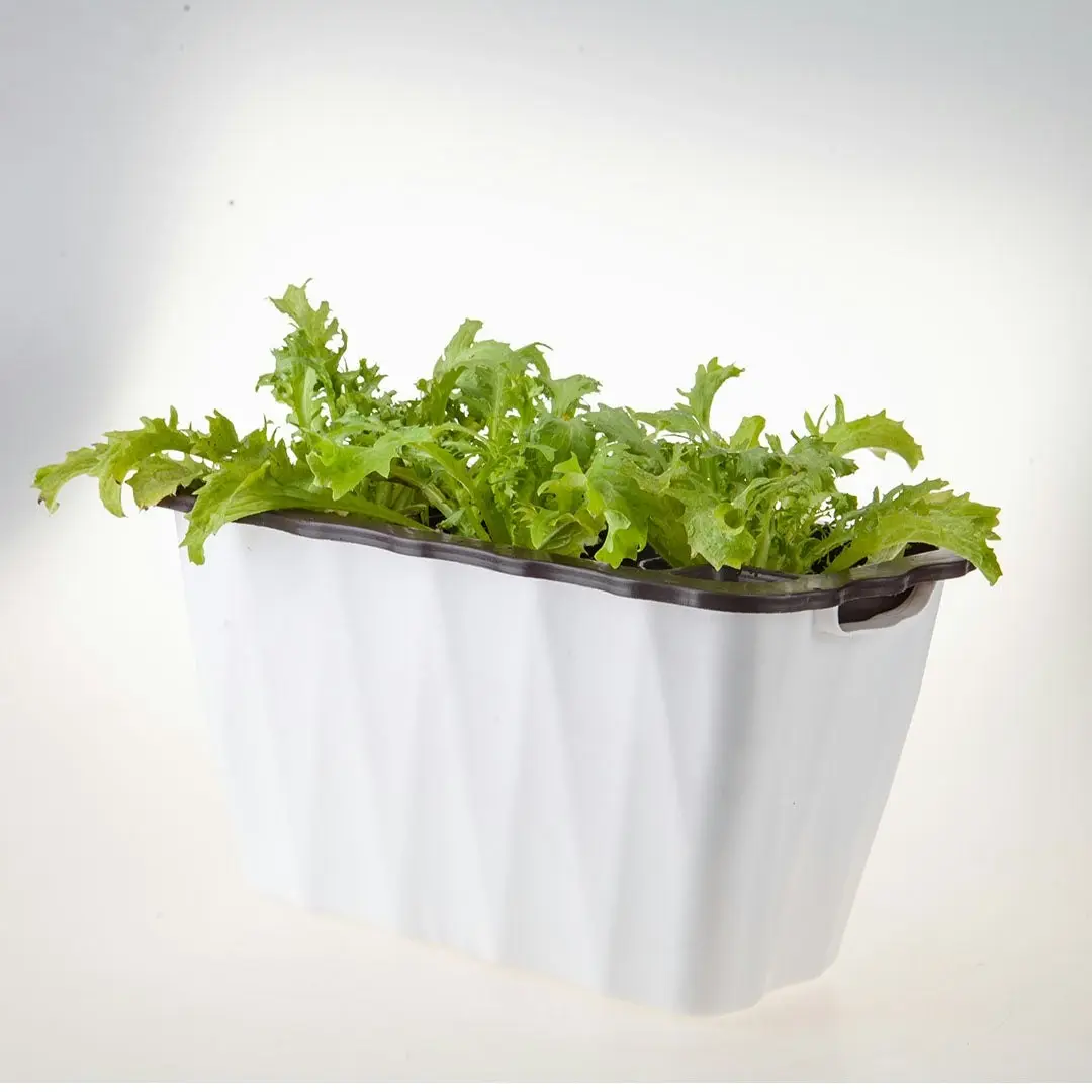 Soga 35cm Small White Rectangular Flowerpot Vegetable Herb Flower Outdoor Plastic Box Garden Decor