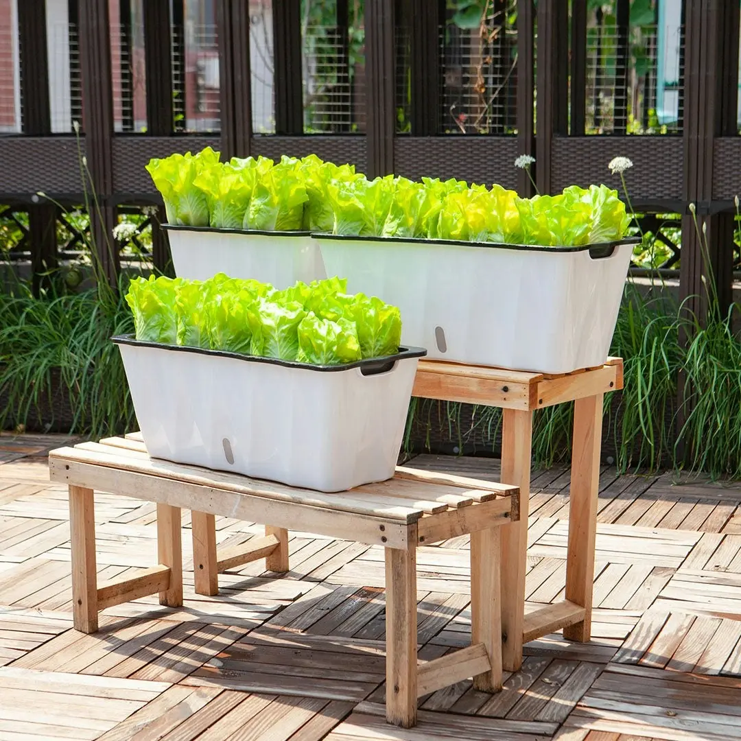 Soga 35cm Small White Rectangular Flowerpot Vegetable Herb Flower Outdoor Plastic Box Garden Decor