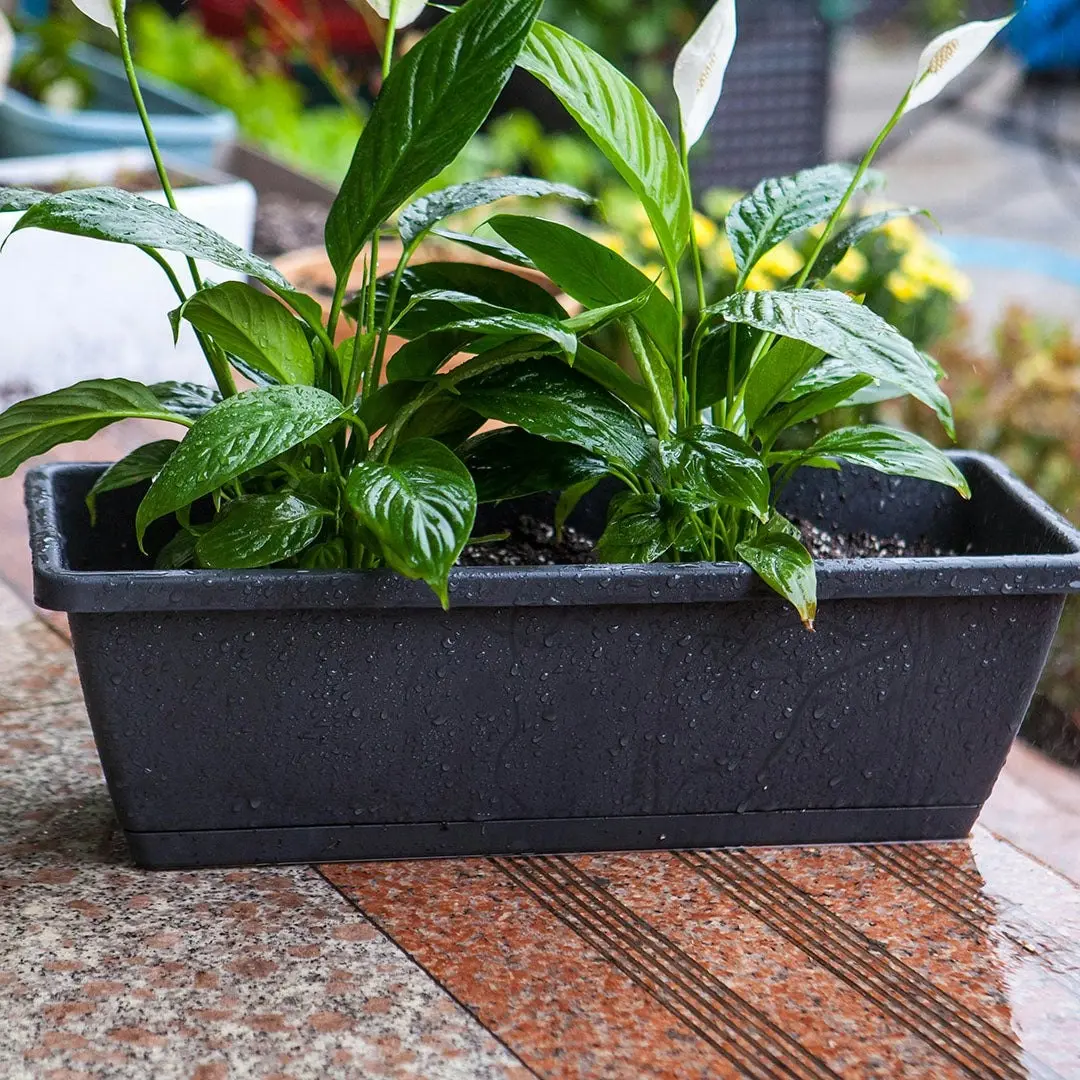 Soga 49.5cm Black Rectangular Planter Vegetable Herb Flower Outdoor Plastic Box with Holder Balcony Garden Decor Set of 2