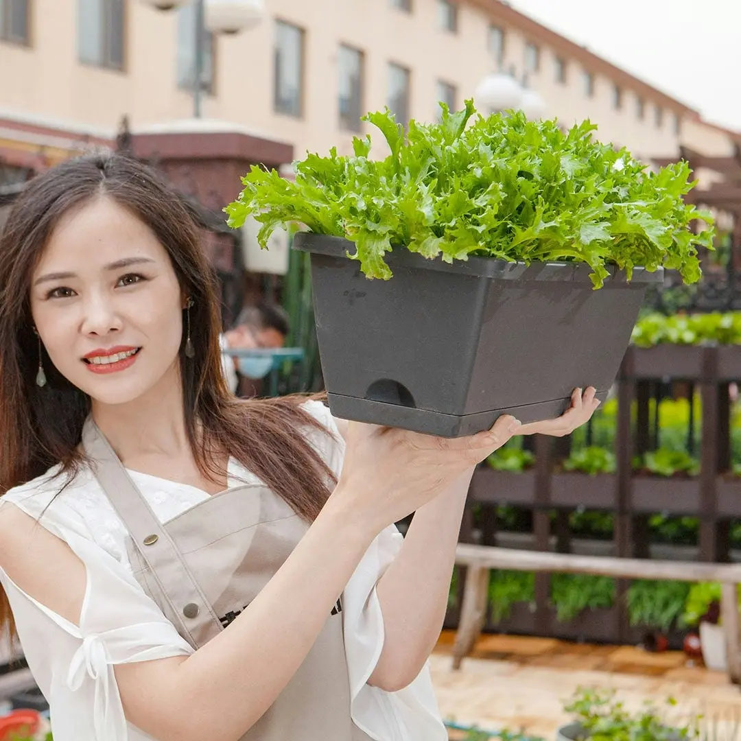 Soga 49.5cm Black Rectangular Planter Vegetable Herb Flower Outdoor Plastic Box with Holder Balcony Garden Decor Set of 5