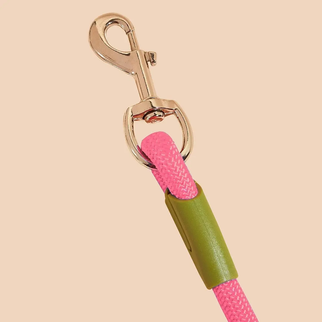 Soga 220cm Multifunction Hands-Free Rope Pet Cat Dog Puppy Double Ended Leash for Walking Training Tracking Obedience Pink