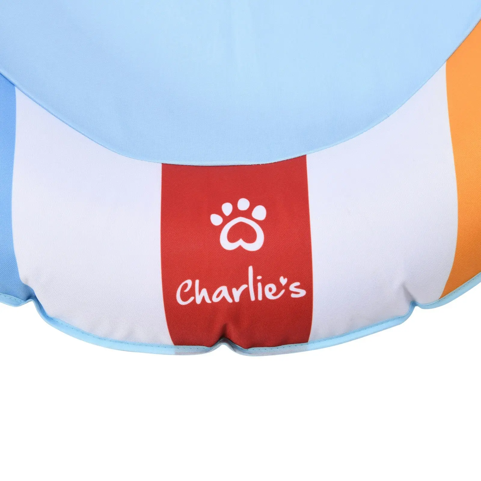 Charlie's Dog Floaties Beach Ball 140x90cm