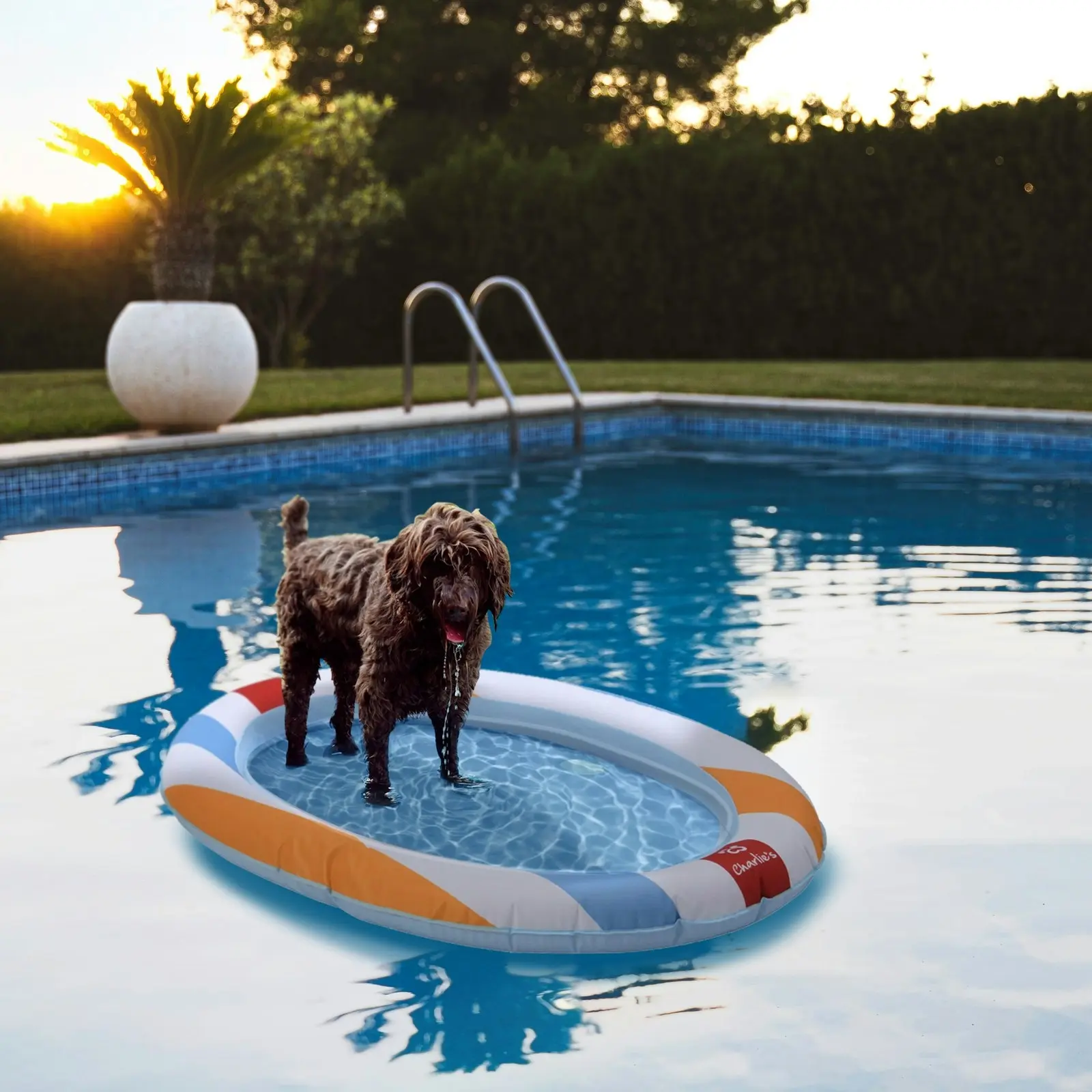 Charlie's Dog Floaties Beach Ball 140x90cm