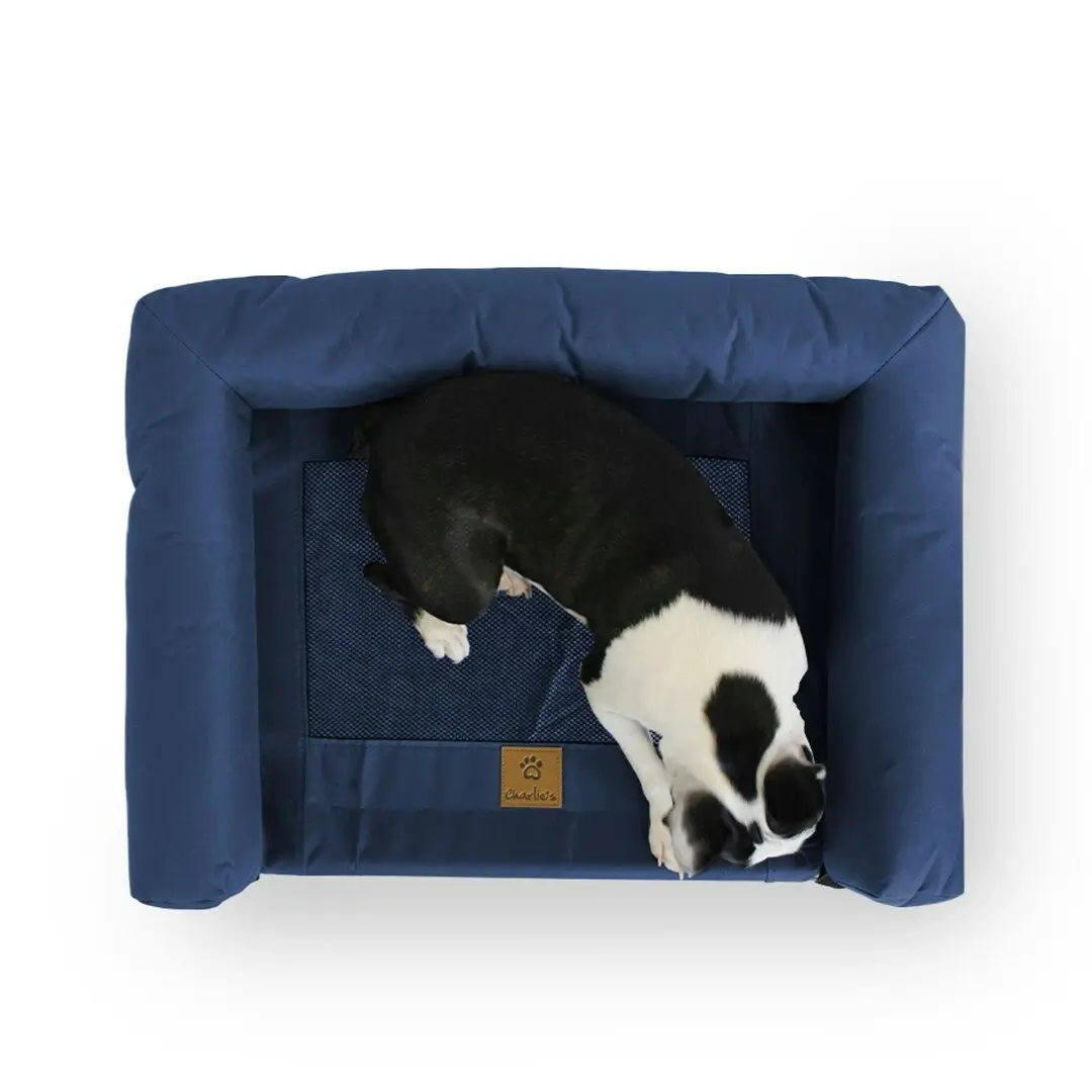 Charlie's Elevated Trampoline Bolster Sofa Dog Bed Blue Small