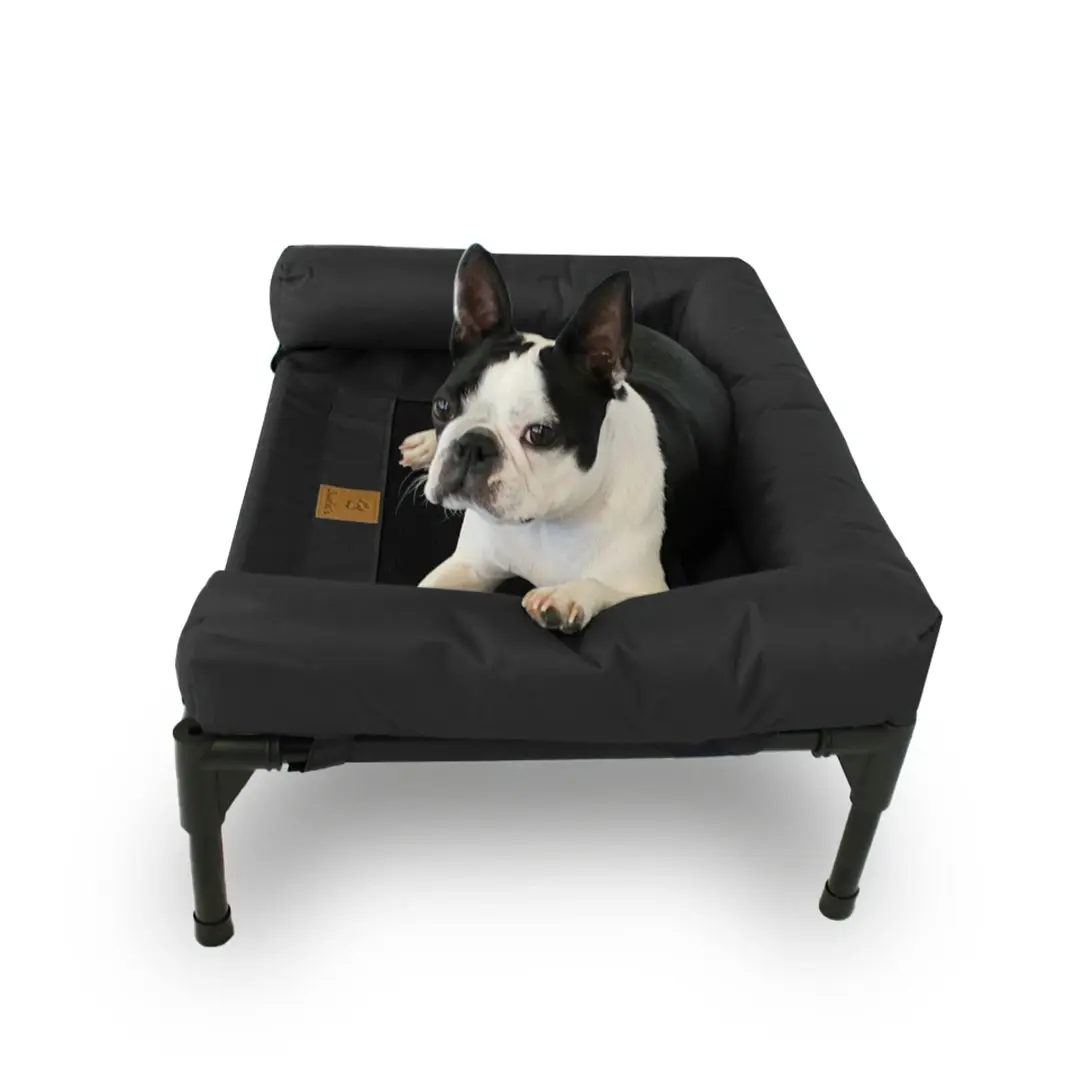 Charlie's Elevated Trampoline Bolster Sofa Dog Bed Black Medium