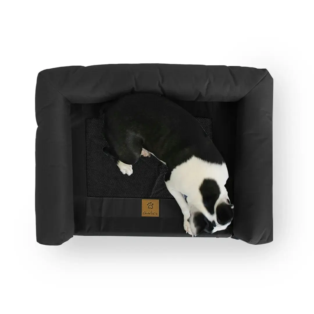 Charlie's Elevated Trampoline Bolster Sofa Dog Bed Black Medium