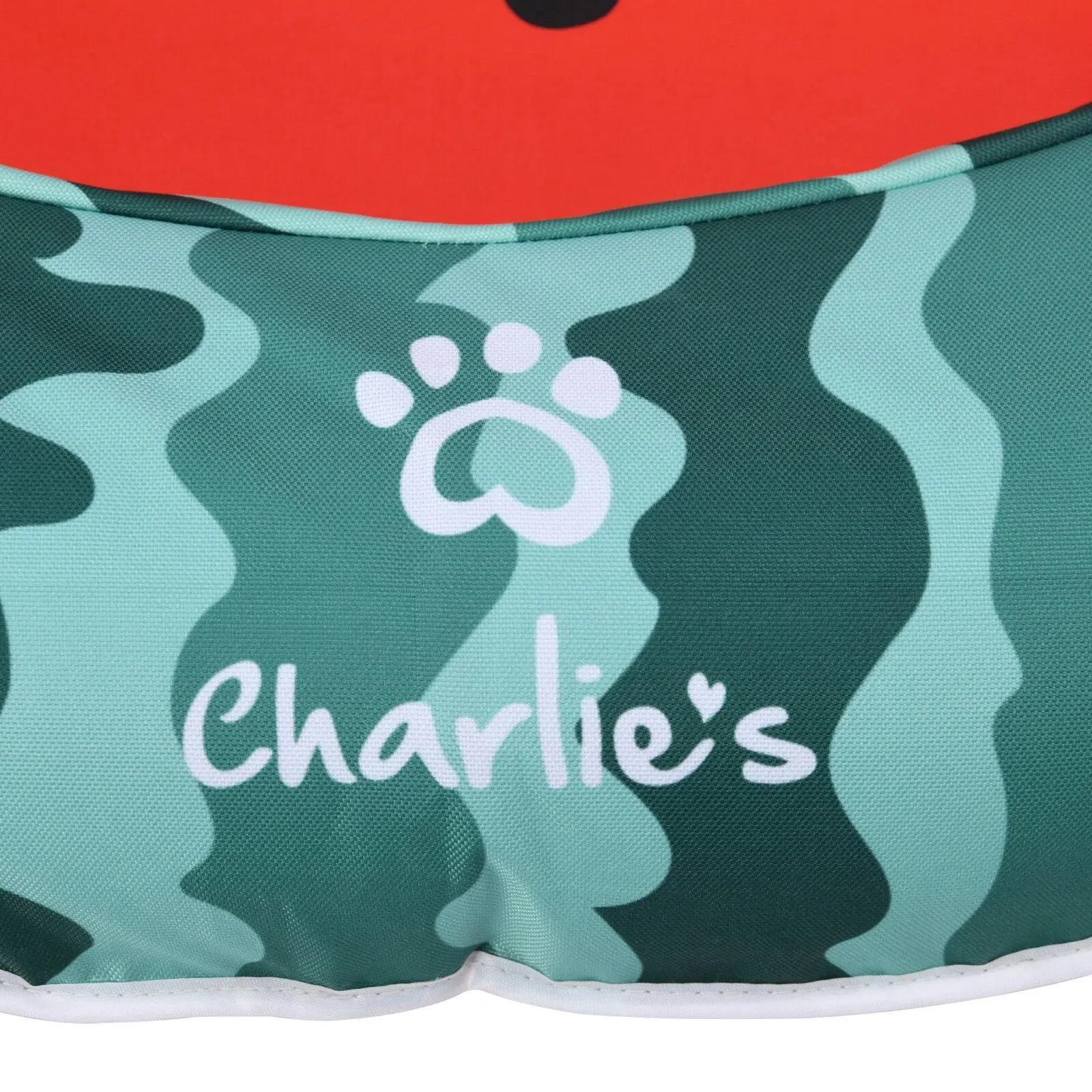 Charlie's Dog Floaties Watermelon 160x120cm