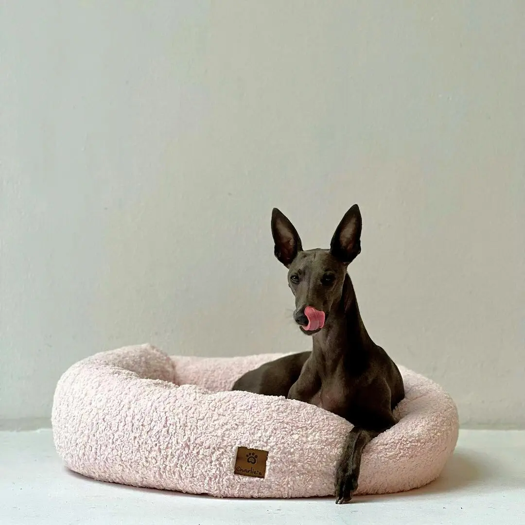 Charlie's Teddy Fleece Round Calming Dog Bed Pink Medium