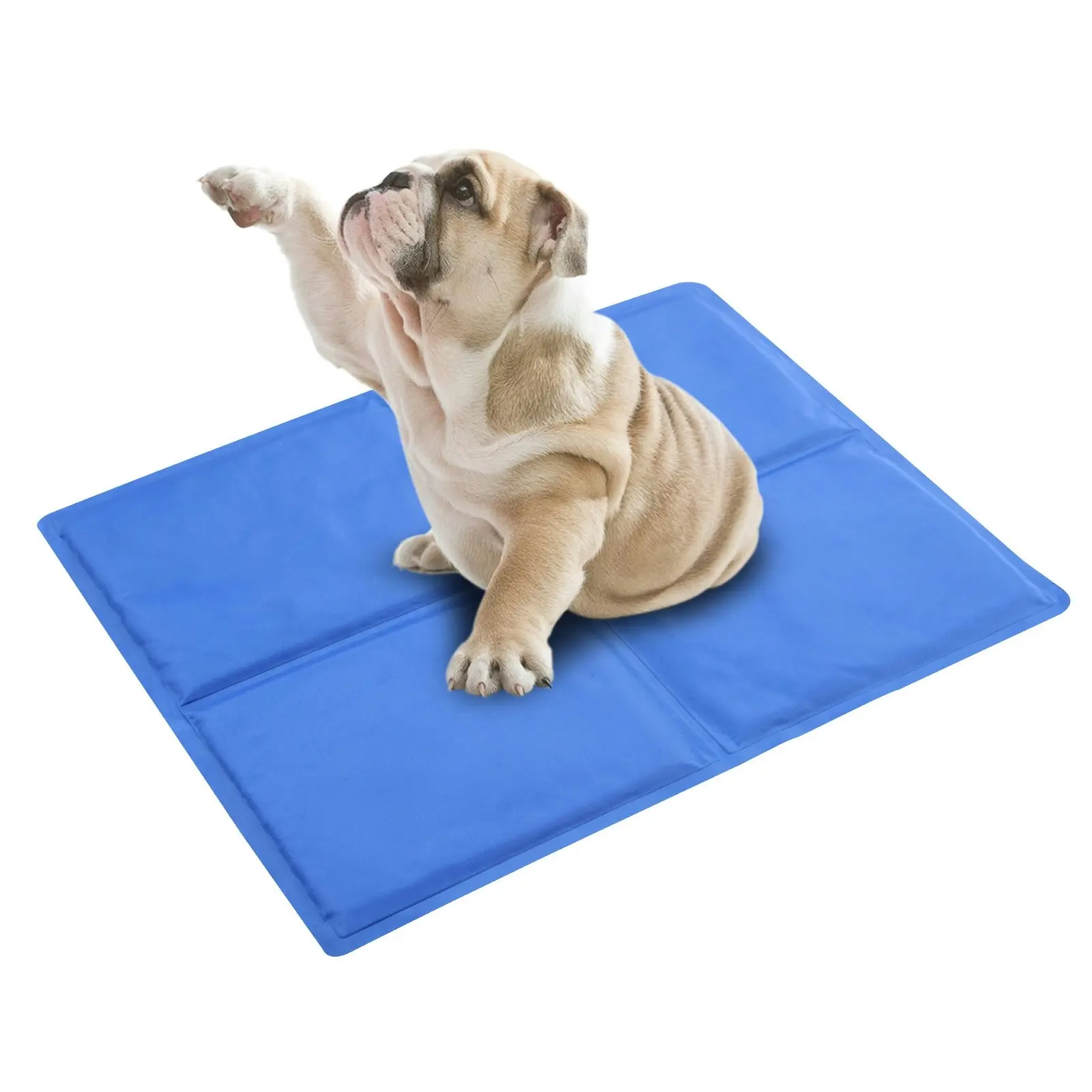 Paw Paws Pet Cooling Mat Blue Large