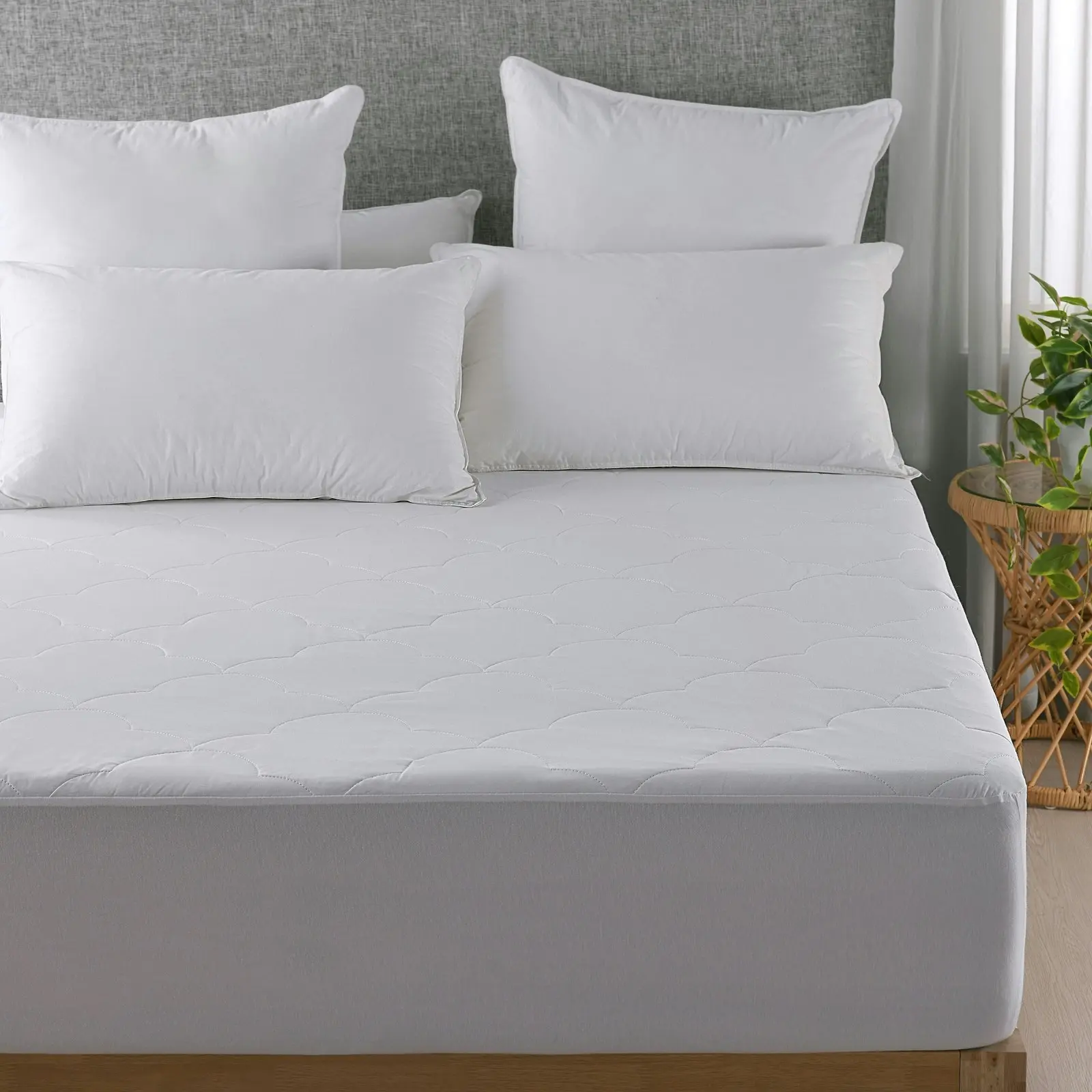 Dreamaker Quilted Cotton Filled Mattress Protector King Bed