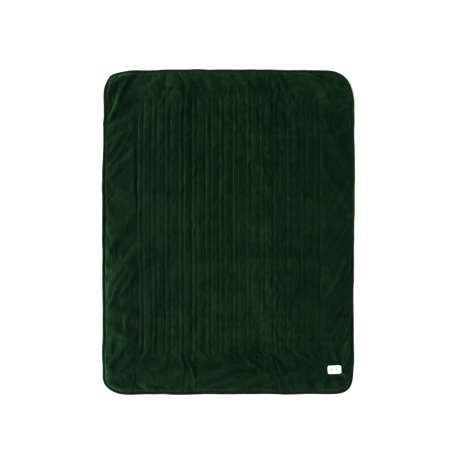 Dreamaker Coral Fleece Heated Throw Eden Green 160 x 120cm