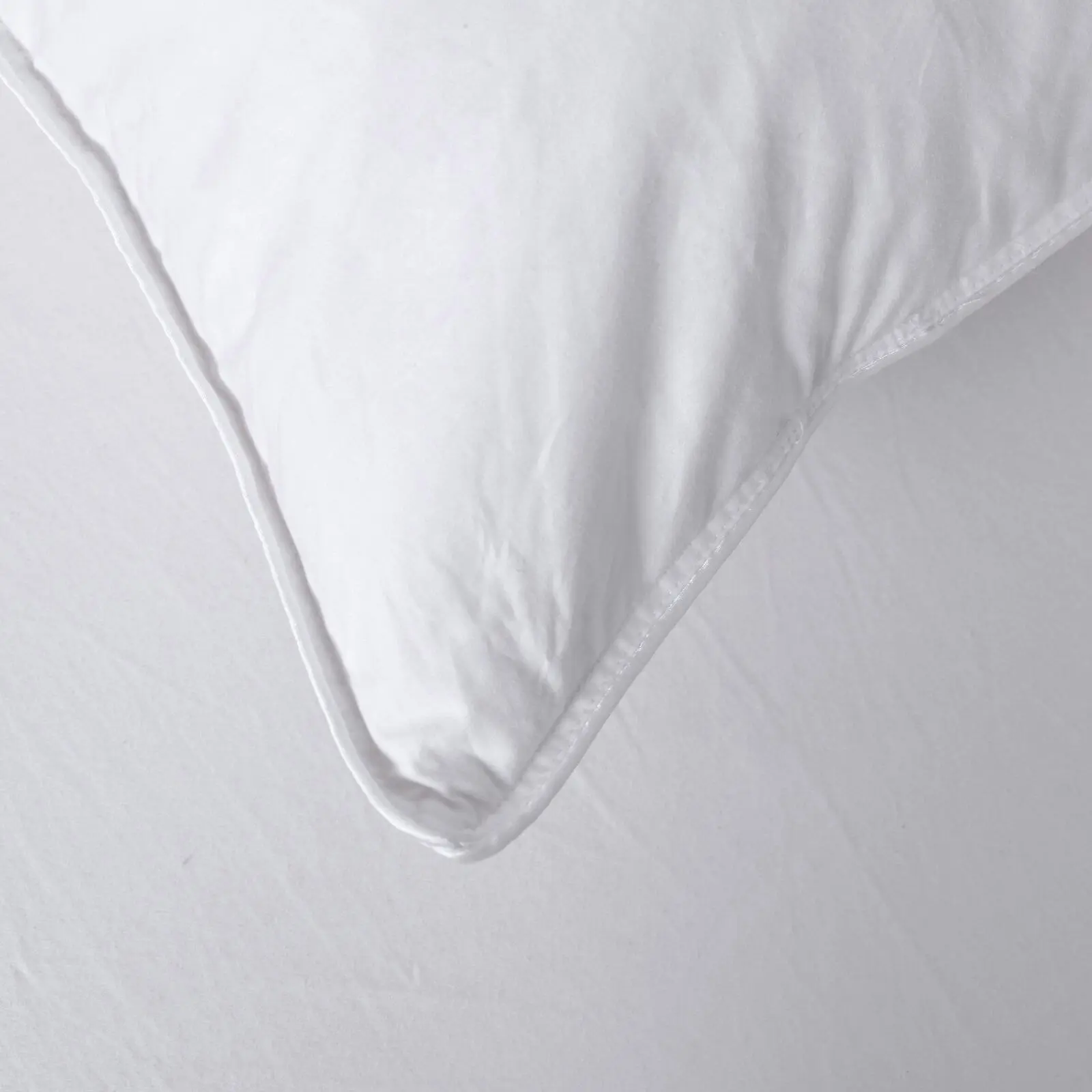 Dreamaker Goose Feather and Down Standard Pillow