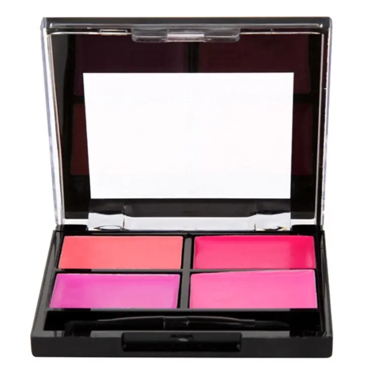 BYS Lip Colour 4g Lipstick Palette w/ Brush Lip Makeup Cosmetics Pink A Pout It