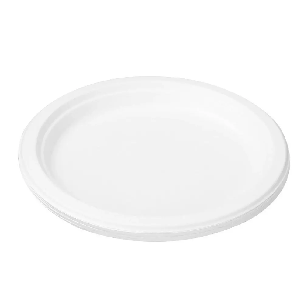 120pc Lemon & Lime Eco/Biodegradable/Compostable Disposable 23cm Dinner Plate WH