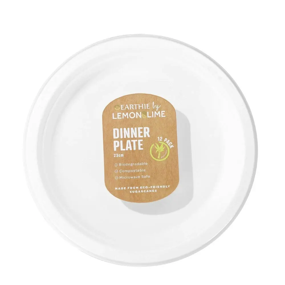 120pc Lemon & Lime Eco/Biodegradable/Compostable Disposable 23cm Dinner Plate WH