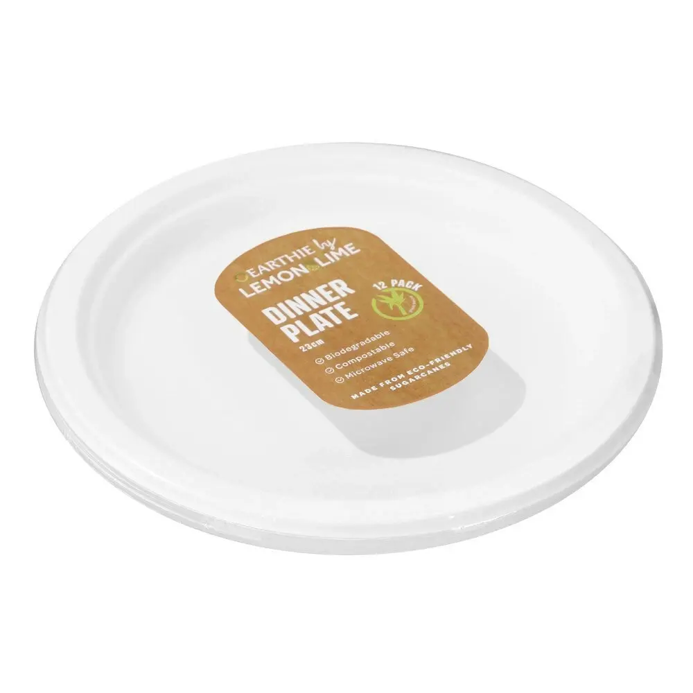 120pc Lemon & Lime Eco/Biodegradable/Compostable Disposable 23cm Dinner Plate WH