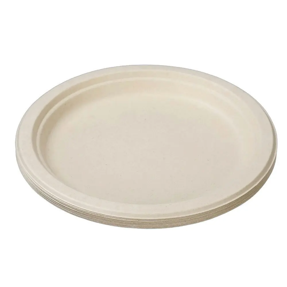 120pc Lemon & Lime Eco-Friendly/Plant Base Disposable 23cm Dinner Plate Natural