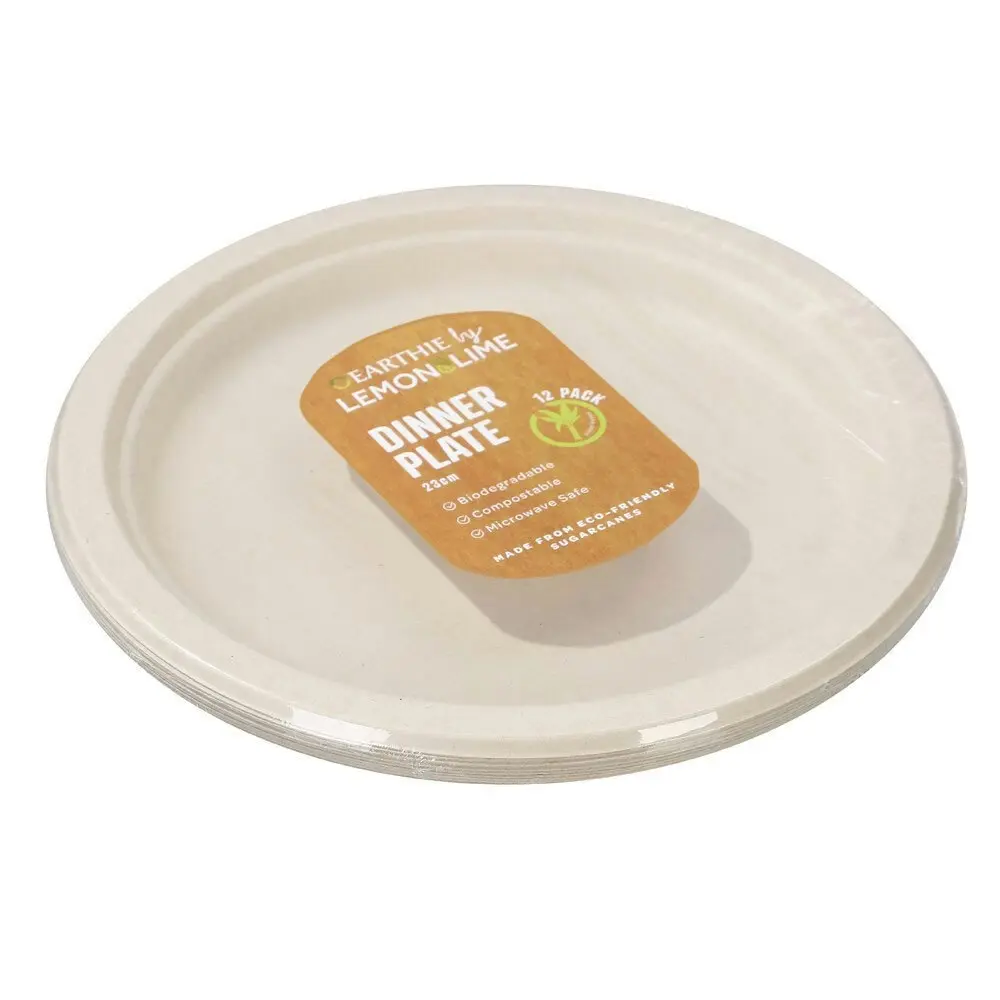 120pc Lemon & Lime Eco-Friendly/Plant Base Disposable 23cm Dinner Plate Natural