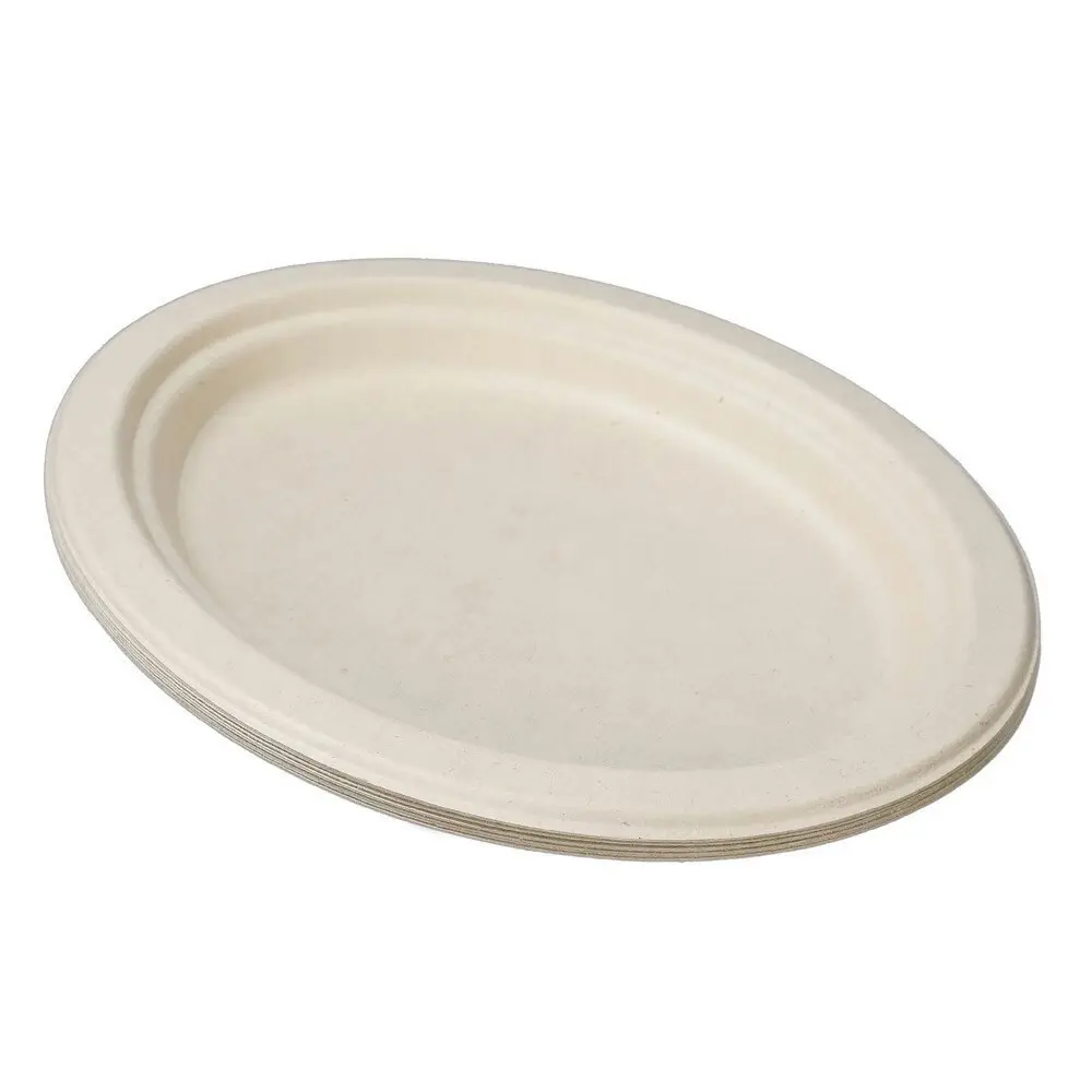 100pc Lemon & Lime Eco-Friendly/Biodegradable Disposable 26cm Oval Plate Natural