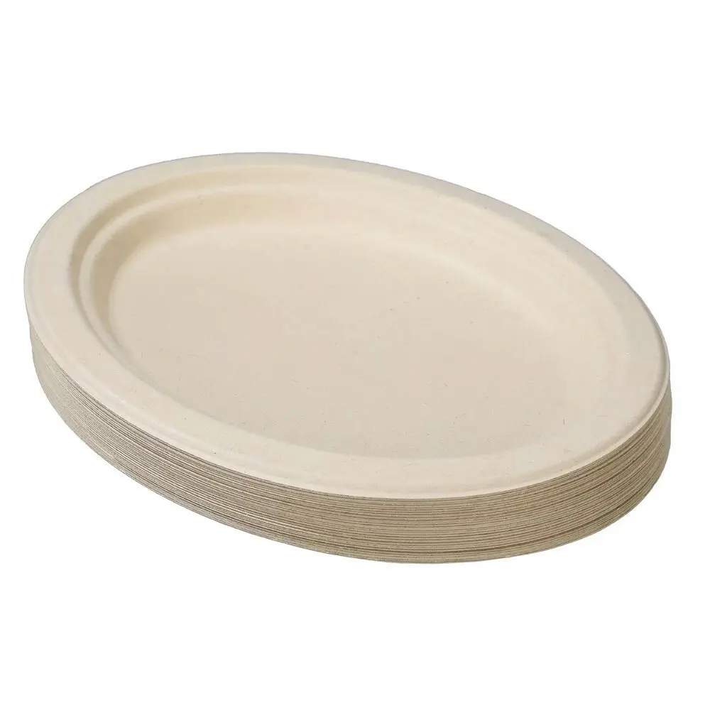 90pc Lemon & Lime Eco-Friendly/Biodegradable Disposable 26cm Oval Plate Natural