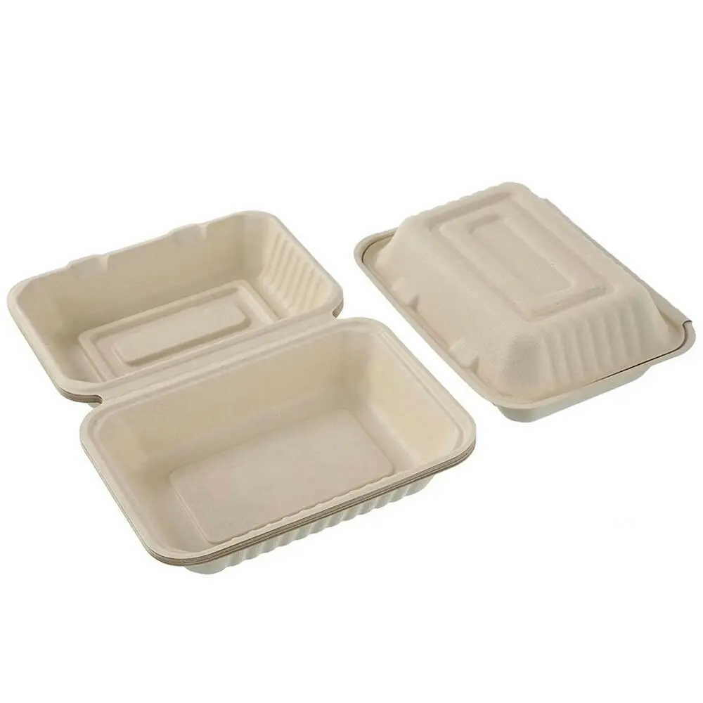 36pc Lemon & Lime 1000ml Eco Sugarcane Disposable Container Food Box Natural