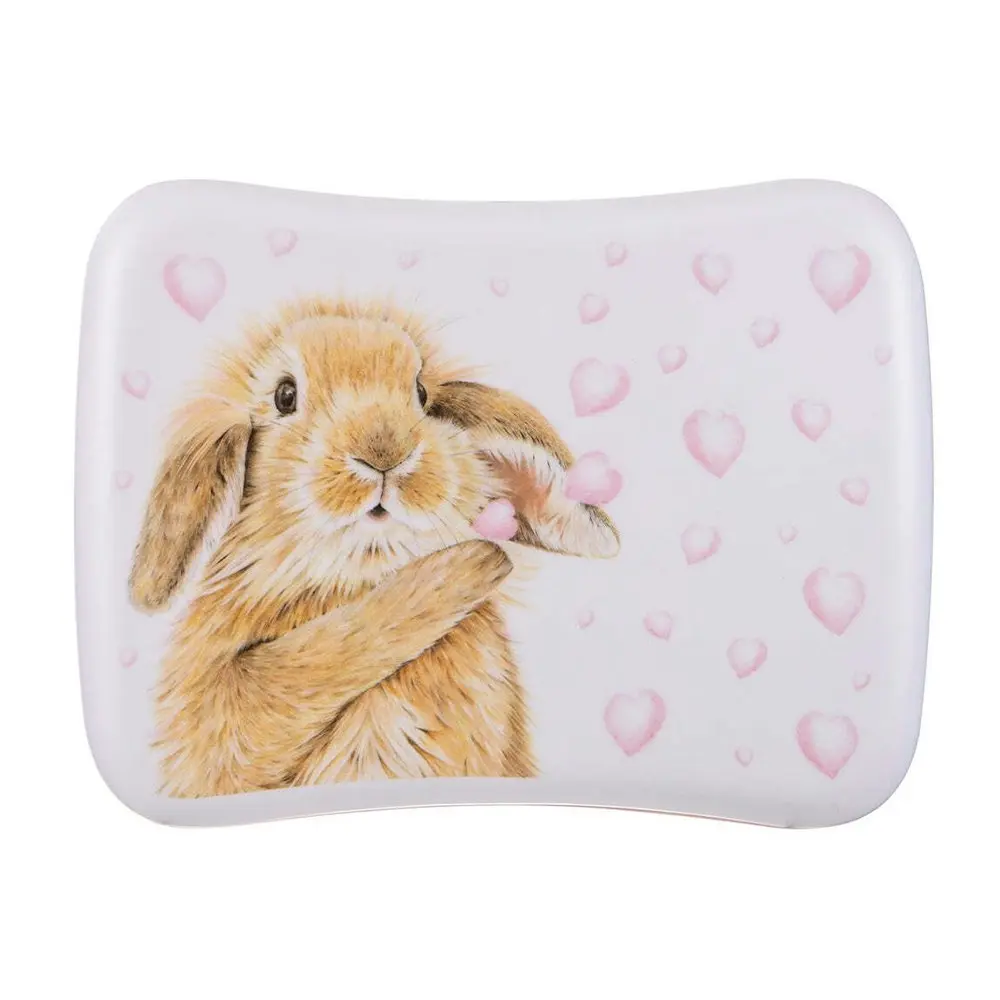 Ashdene Bunny Hearts Kids Melamine Silicone Wrap Lunch Prep Food Storage Box