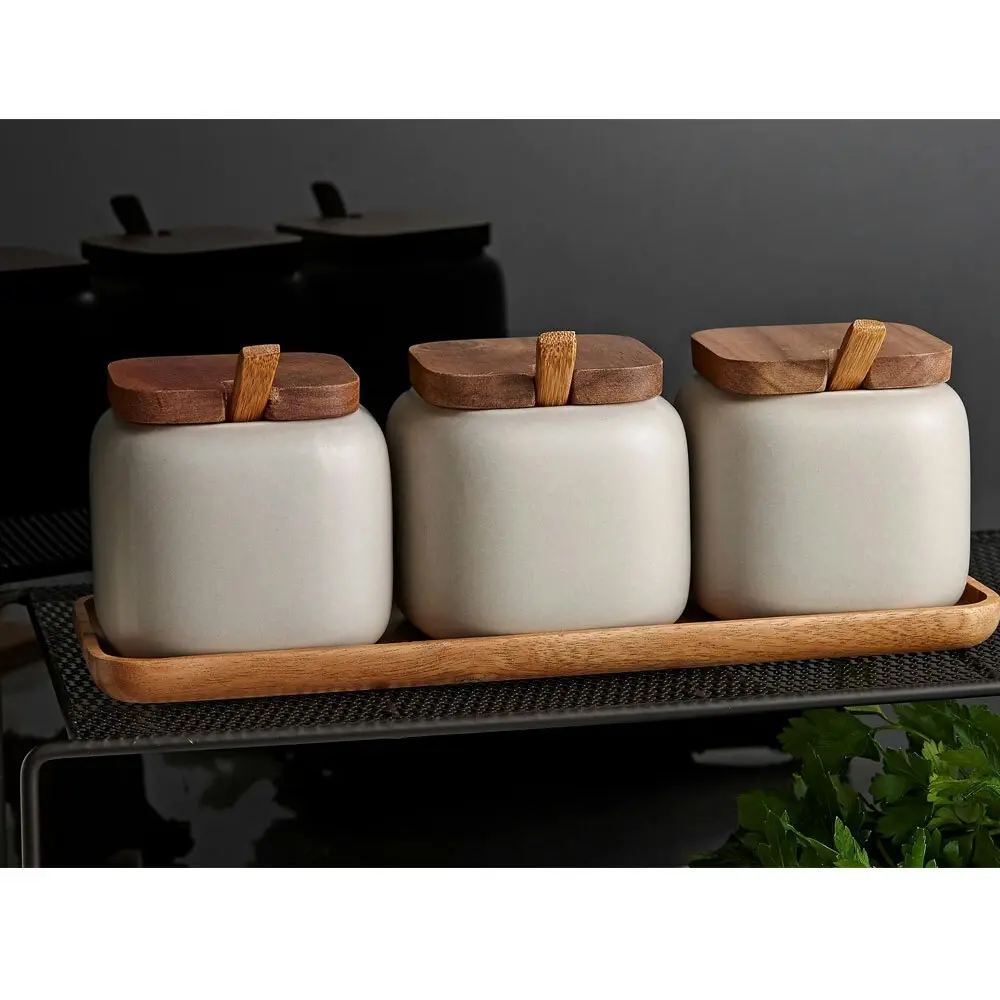 3x Ladelle Essentials Spices/Pepper Salt Container Canister/Spoon/Tray Set Stone