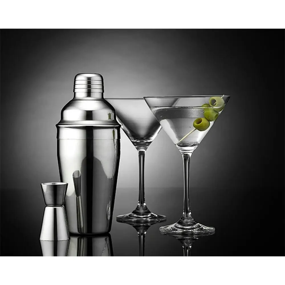 4pc Tempa Aurora Cocktail Drink Glass Set w/Shaker/Jigger/Martini Glasses Silver