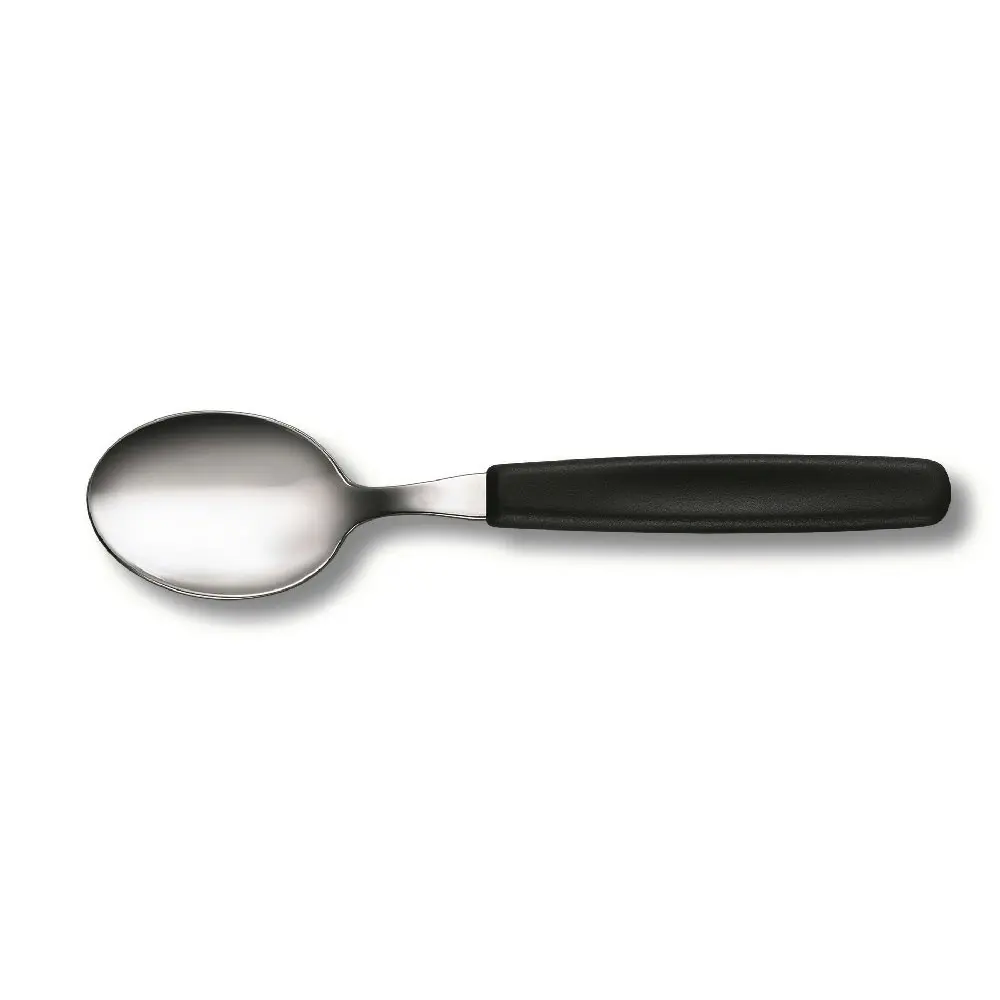 Victorinox Black Table Spoon  Set 6