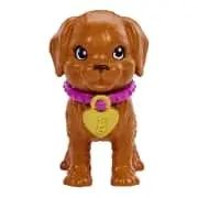 Barbie Doll and Accessories Pup Adoption Playset With Doll, 2 Puppies and Colour-Change