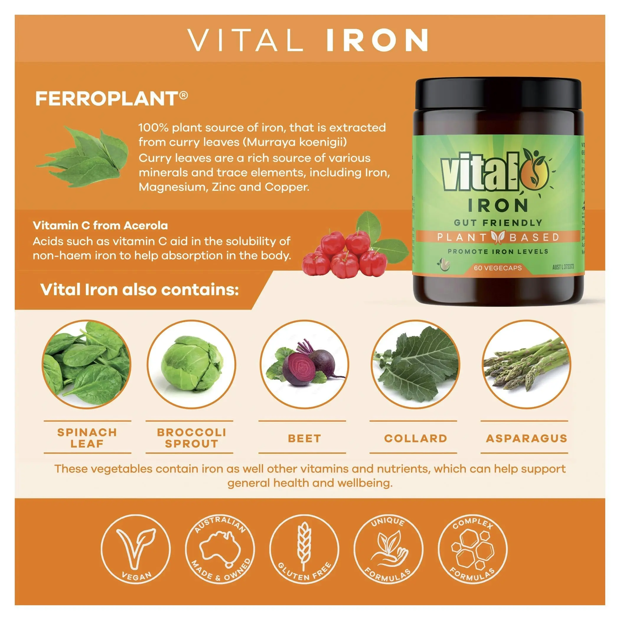 Vital Vegan Iron Vegecaps 60 Capsules