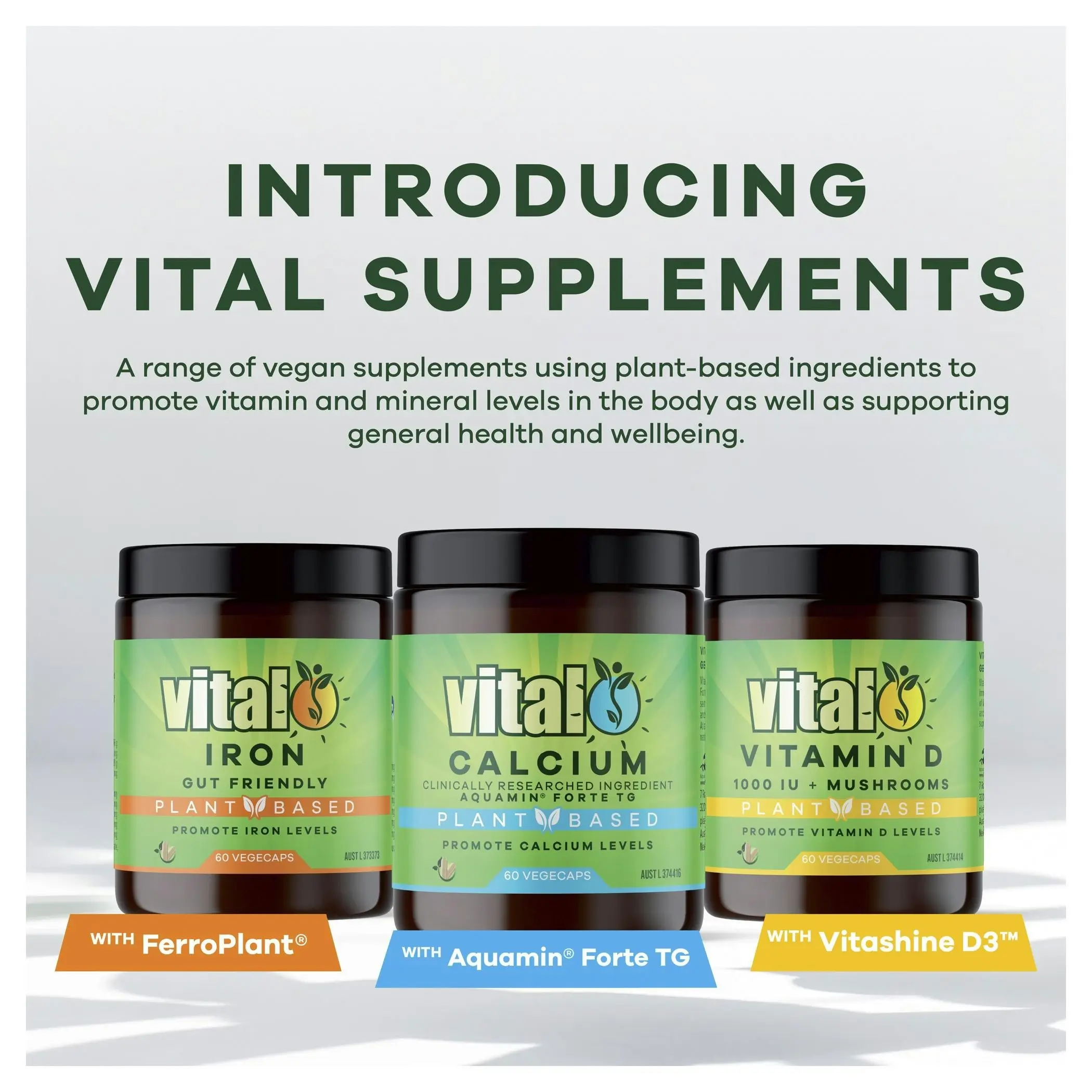 Vital Vegan Iron Vegecaps 60 Capsules