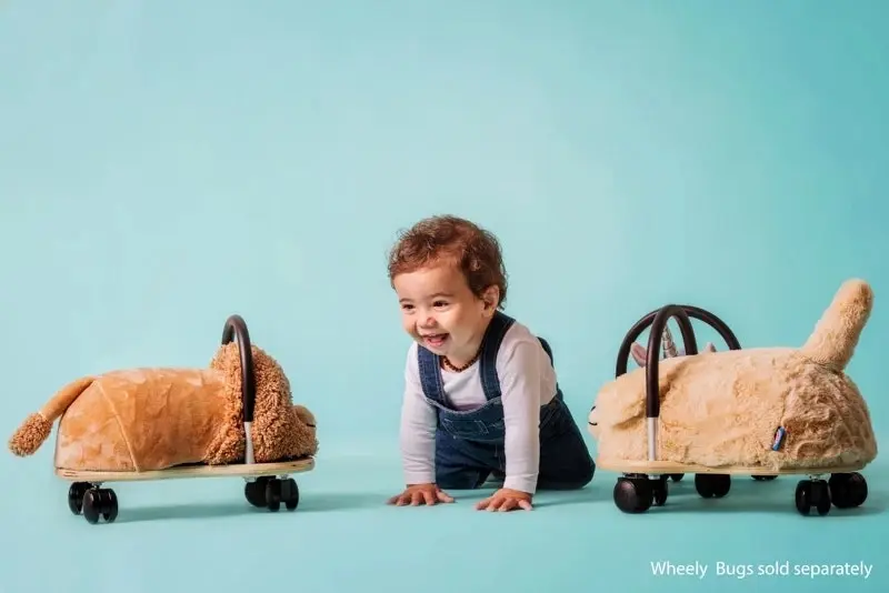 Wheely Bug Kids Ride On Lion