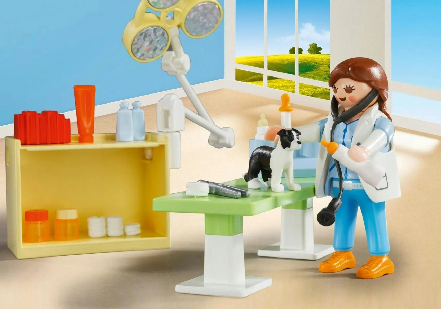 Playmobil Vet Visit Carry Case