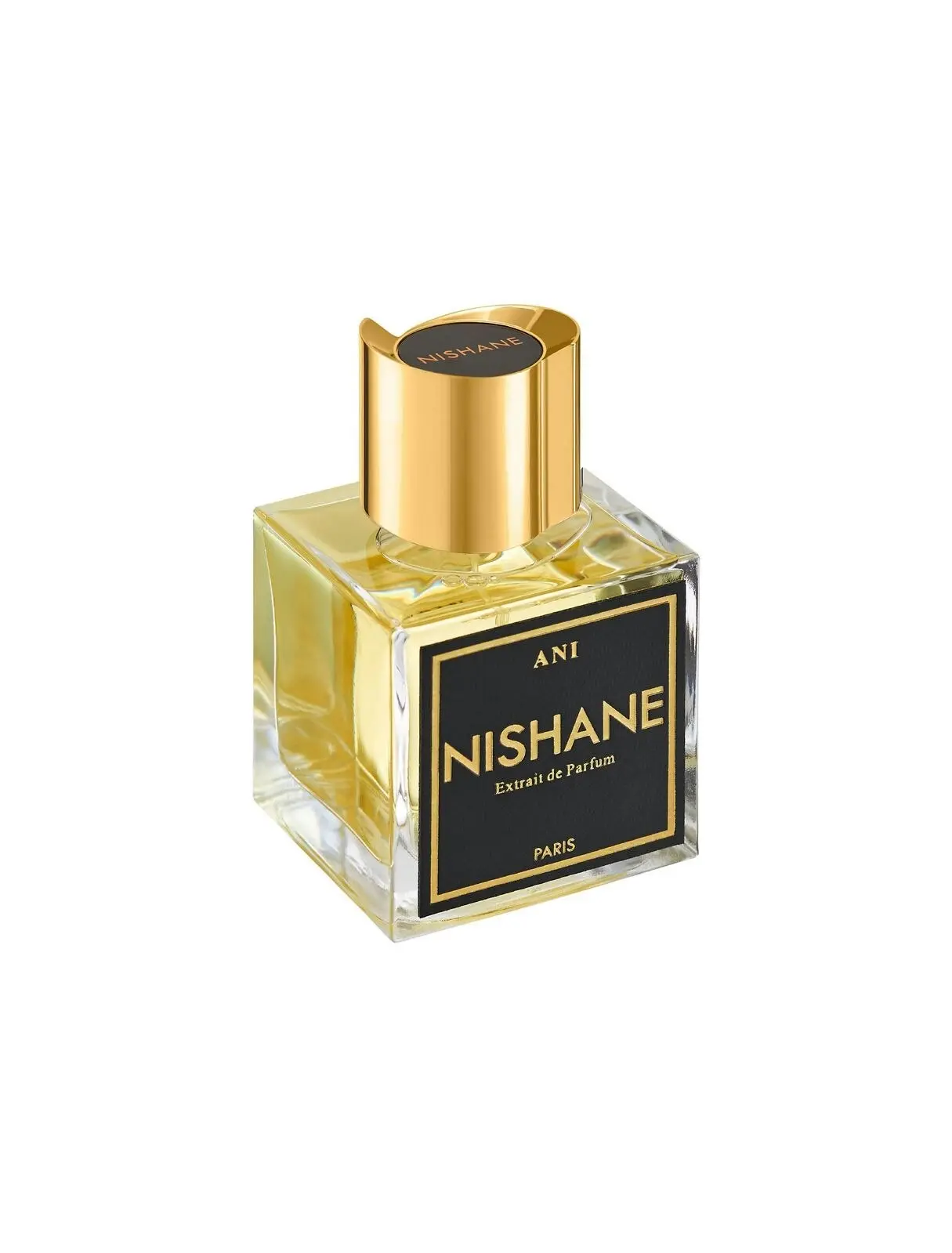 Nishane ANI Extrait De Parfum 100ml