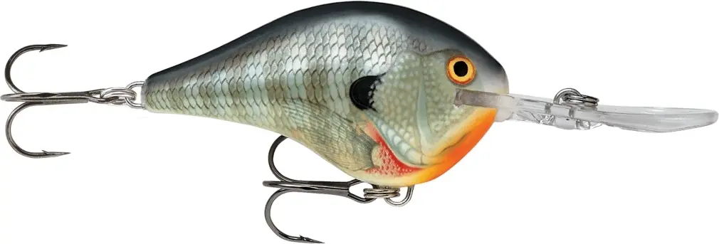 Rapala DT16 (Dives to 16ft) Crankbait Fishing Lure