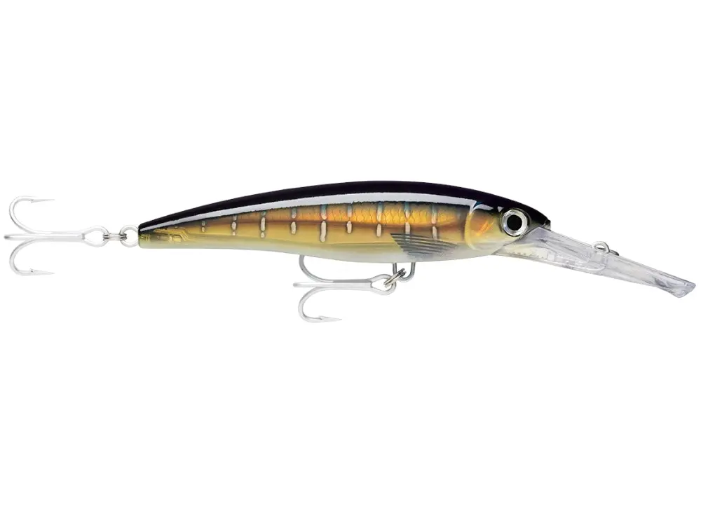 16cm Rapala X-Rap Magnum Deep Diving Trolling Lure - Dives to 30 Feet