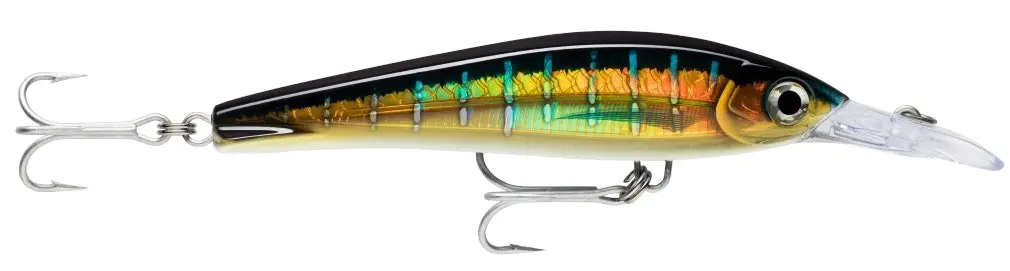 16cm Rapala X-Rap Magnum Xtreme Shallow Diving Trolling Fishing Lure