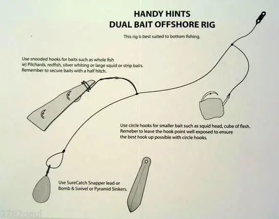 Wilson Live Dual Bait Offshore Rig - 8/0 Circle & 2 X 7/0 Snooded Paternoster