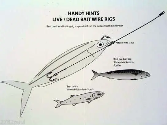 Wilson Live Bait/Dead Bait Wire Rig - #2 Treble & Hoodlum - 69lb Wire Trace