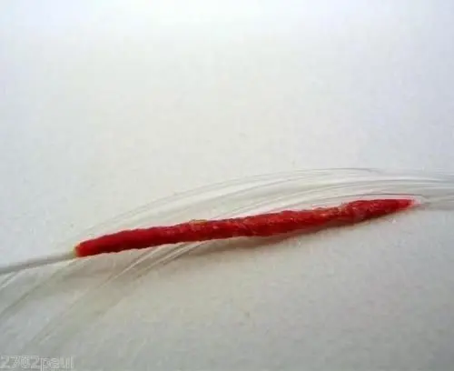 1 Packet of Surecatch Dacron Sleeved 1.5m Wind On Leader - Mono Fishing Leader