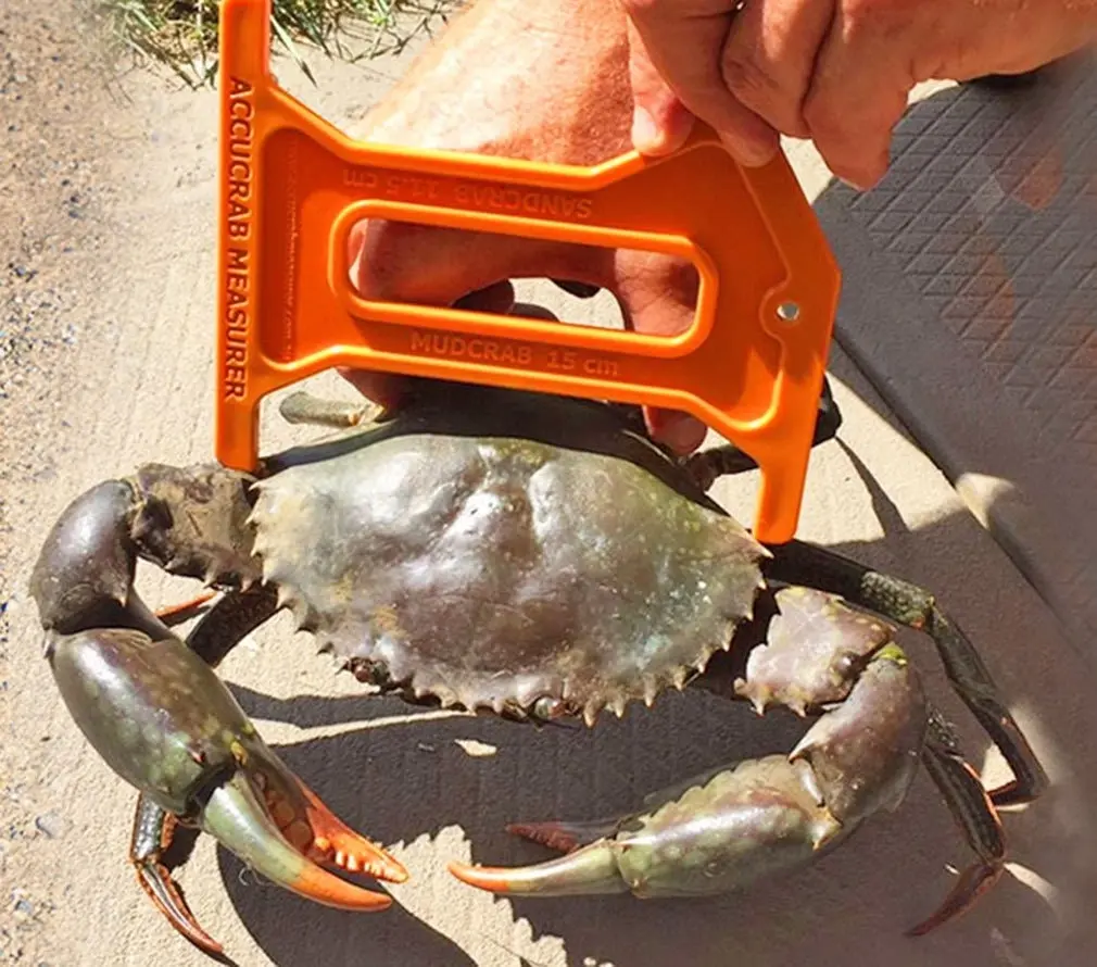 AccuCrab Crab Measure - Crab Measurer - Crab Ruler for Sand and Mud Crabs