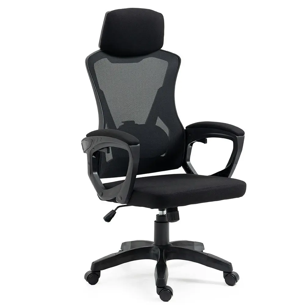 Fortia Ergonomic Office Desk Chair, Height Adjustable Lumbar Support, Mesh Fabric, Headrest, Black