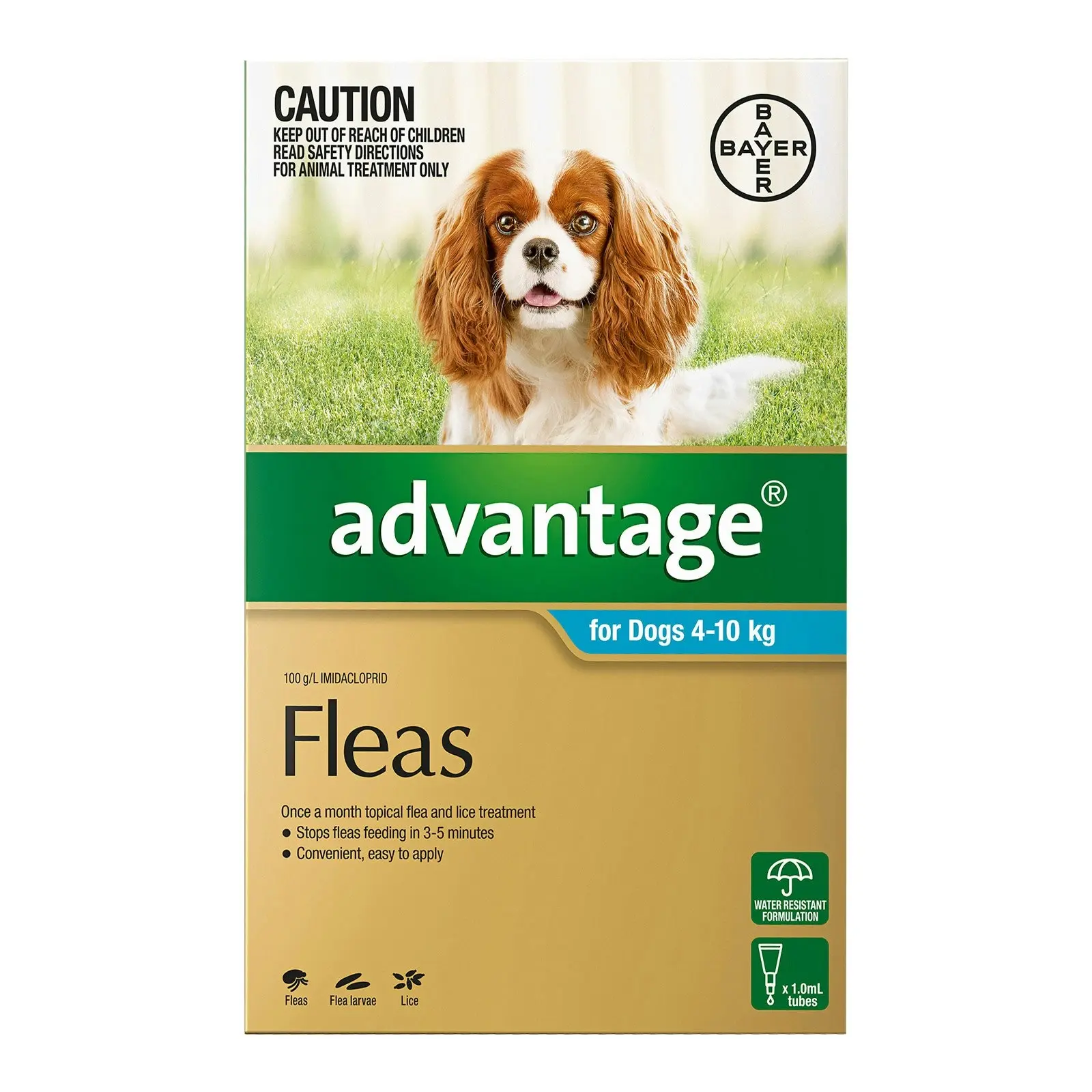 Advantage For Medium Dogs 4 To 10Kg (Aqua) 6 Pack