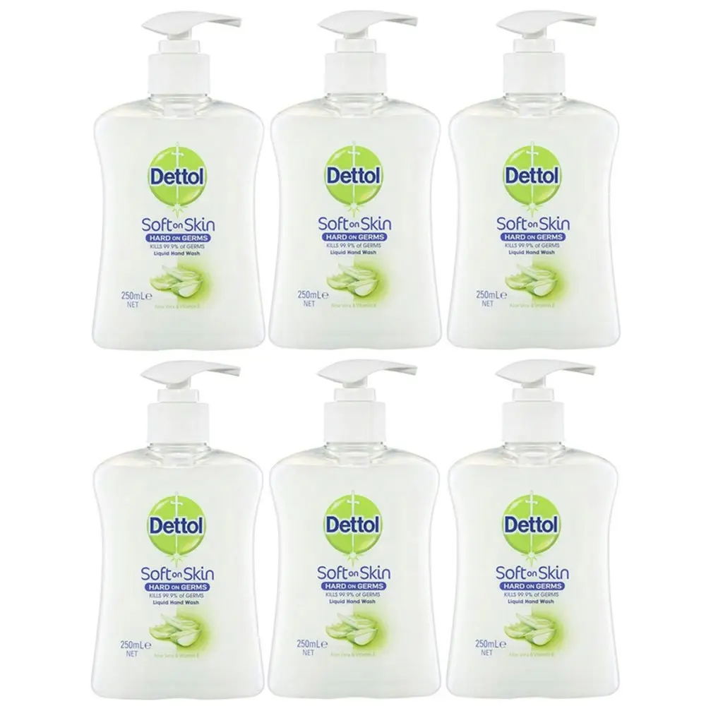 6pc Dettol 250ml Liquid Hand Wash Soap Antibacterial Aloe Vera/Vitamin E w/ Pump