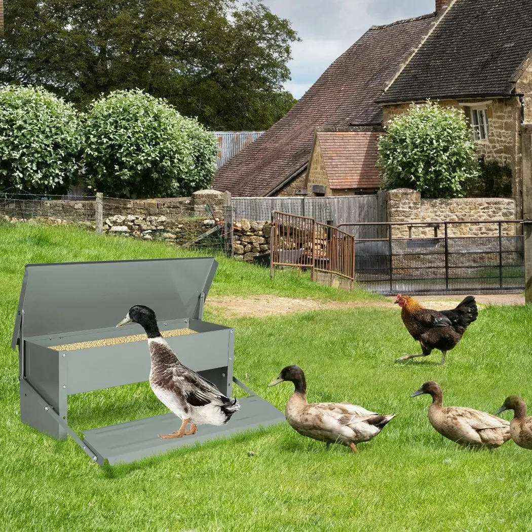 Pawz 10KG Auto Automatic Chicken Feeder Galvanized Poultry Chook Treadle