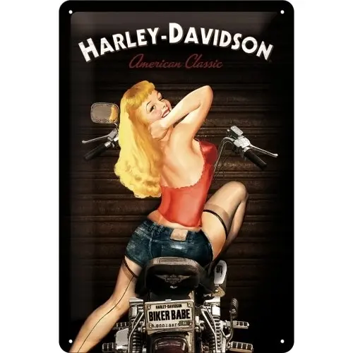 Nostalgic Art 20x30cm Metal Wall Hanging Sign Harley Davidson Biker Babe Decor