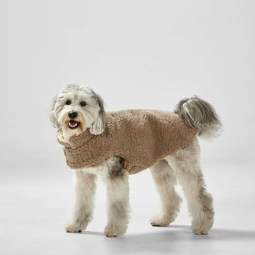 Reversible Teddy Sweater Fawn / Natural M