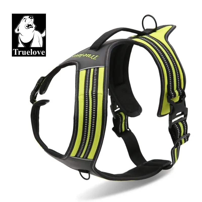 Heavy Duty Sports Harness